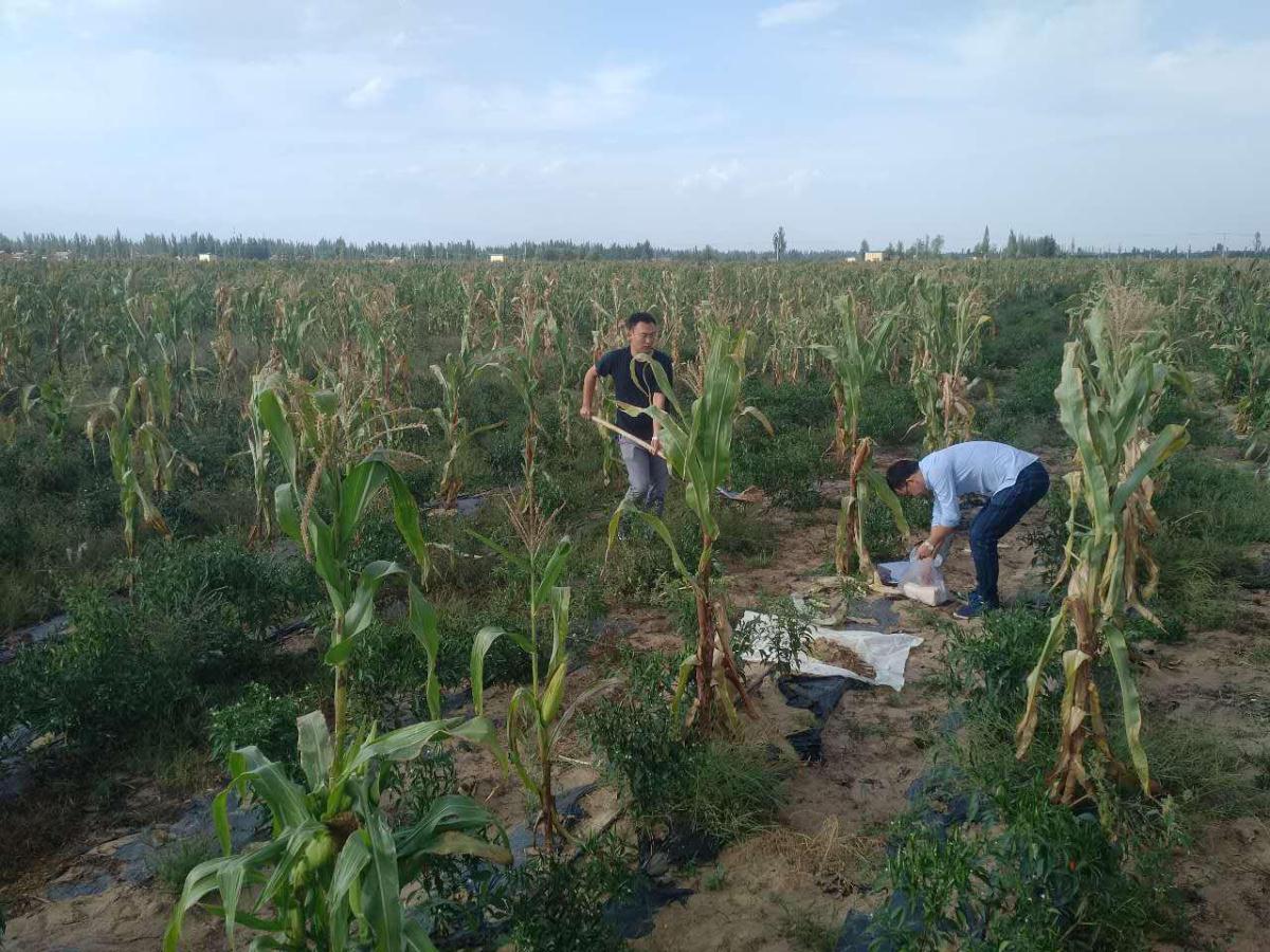 CA88(中国区)唯一官方网站