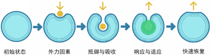 CA88(中国区)唯一官方网站